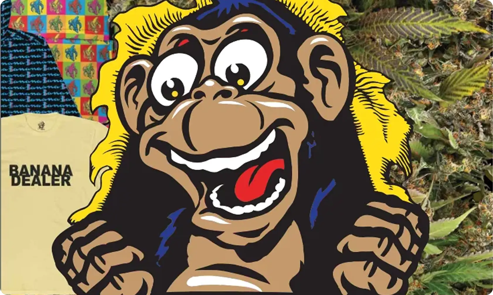 This is test blog image