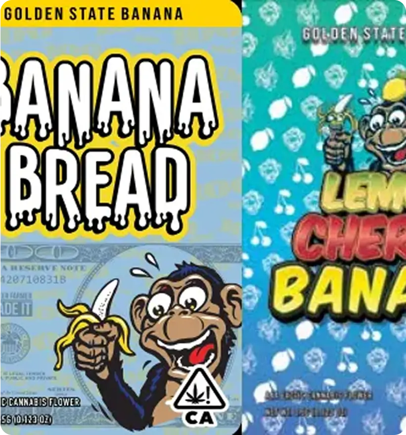 This is the second test image of multiple image section.