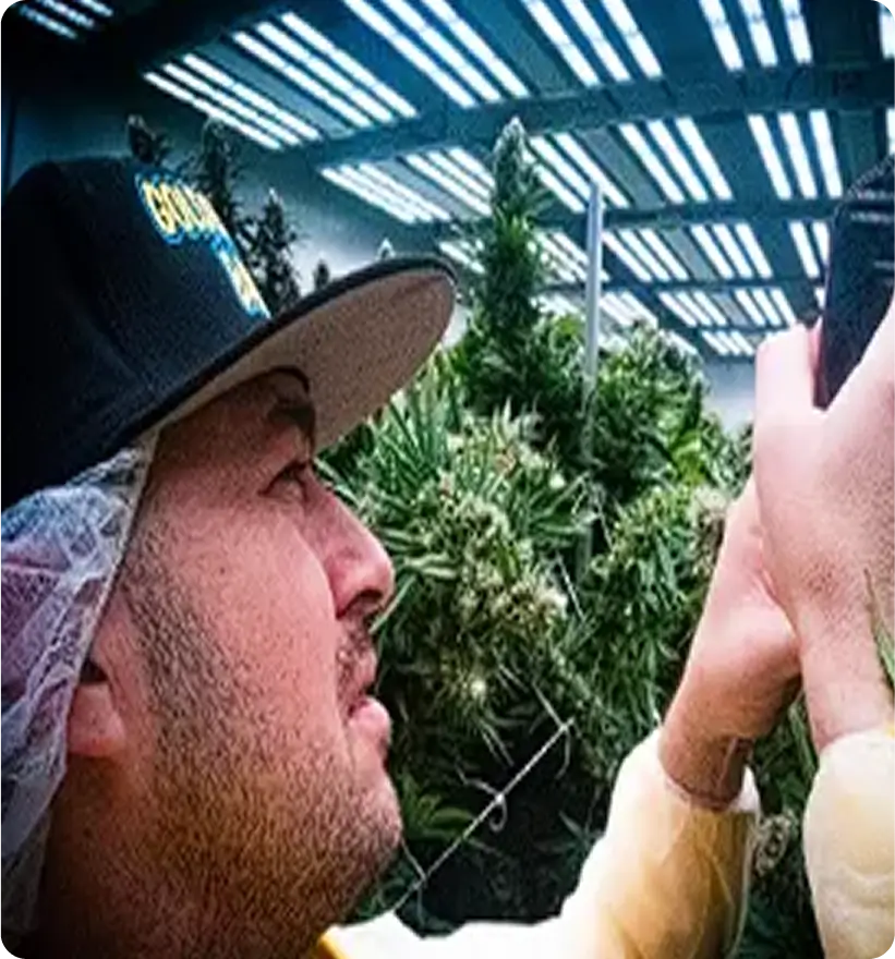 This is the first image of multiple image section.